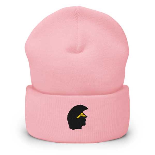 Williamsville north Cuffed Beanie | Yupoong 1501KC
