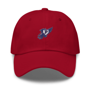 Plainview Little League 37284213 Classic Dad Hat | Yupoong 6245CM