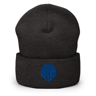 Washington Blue Lions Football 10104839 Cuffed Beanie | Yupoong 1501KC