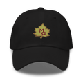 Maple Grove Swim and Dive Team Dad hat