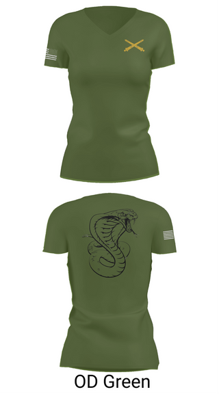 Womens Short Sleeve Vneck Shirt, Cobra 3-321 FAR, , Teamtime, Team time, sublimation, custom sports apparel, team uniforms, spirit wear, spiritwear, sports uniforms, custom shirts, team store, custom team store, fundraiser sports, apparel fundraiser