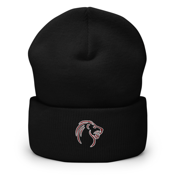 Biggersville High School 45490273 Cuffed Beanie | Yupoong 1501KC