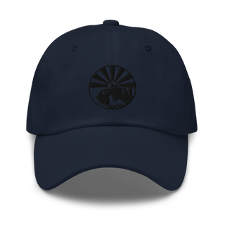 208 Transportation Company 94479647 Classic Dad Hat | Yupoong 6245CM