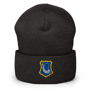 C-Co. 1-181st 51621268 Cuffed Beanie | Yupoong 1501KC