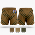HHC 2/4SFAB Ranger Panties - 4
