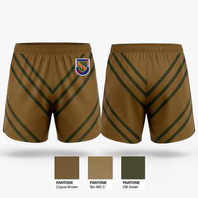 HHC 2/4SFAB Ranger Panties - 4