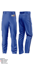 319th IEW Baseball Pants - 22