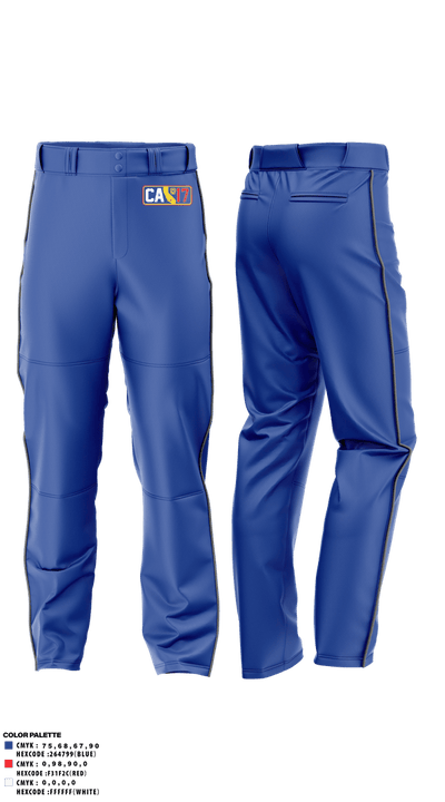 319th IEW Baseball Pants - 22