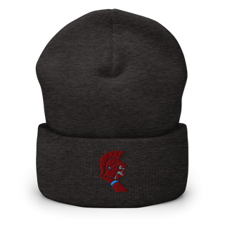 Saint Joseph-Ogden High School Soccer Cuffed Beanie | Yupoong 1501KC