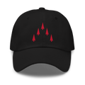 C-Co, 2-70 Dad hat