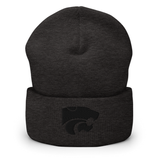 Salina High School Cheer 16938954 Cuffed Beanie | Yupoong 1501KC