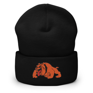 Davenport 34127187 Cuffed Beanie | Yupoong 1501KC