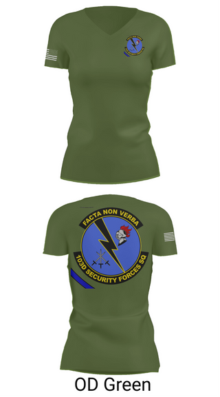 Womens Short Sleeve Vneck Shirt, 103d SECURITY FORCES SQUADRON, , Teamtime, Team time, sublimation, custom sports apparel, team uniforms, spirit wear, spiritwear, sports uniforms, custom shirts, team store, custom team store, fundraiser sports, apparel fundraiser
