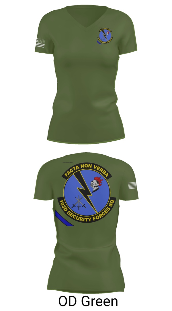 Womens Short Sleeve Vneck Shirt, 103d SECURITY FORCES SQUADRON, , Teamtime, Team time, sublimation, custom sports apparel, team uniforms, spirit wear, spiritwear, sports uniforms, custom shirts, team store, custom team store, fundraiser sports, apparel fundraiser