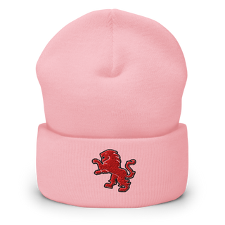 Dulaney Lions Baseball 10641314 Cuffed Beanie | Yupoong 1501KC