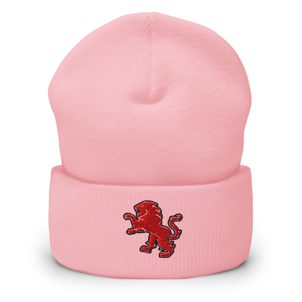 Dulaney Lions Baseball 10641314 Cuffed Beanie | Yupoong 1501KC
