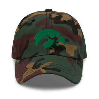 D-R Falcons 66653623 Classic Dad Hat | Yupoong 6245CM