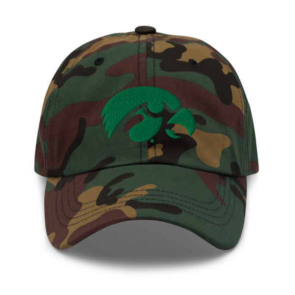 D-R Falcons 66653623 Classic Dad Hat | Yupoong 6245CM