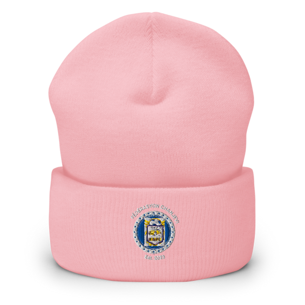 BTFC 7684024 Cuffed Beanie | Yupoong 1501KC