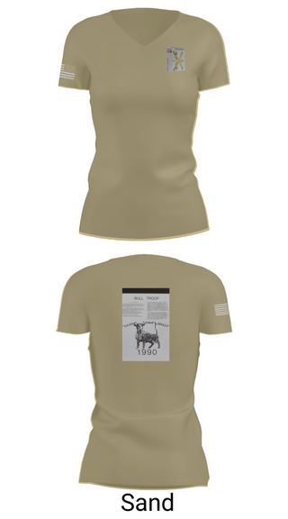 Womens Short Sleeve Vneck Shirt, 2nd Armored Cavalry Regiment, , Teamtime, Team time, sublimation, custom sports apparel, team uniforms, spirit wear, spiritwear, sports uniforms, custom shirts, team store, custom team store, fundraiser sports, apparel fundraiser