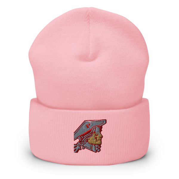 Patriot Taxi 13677637 Cuffed Beanie | Yupoong 1501KC