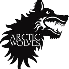 Arctic Wolves 45055570 Stainless Steel Water Bottle with a Straw Lid