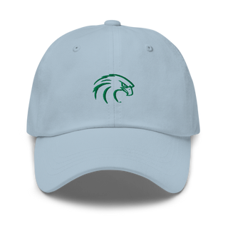 NSU Riverhawks Football 89263546 Classic Dad Hat | Yupoong 6245CM
