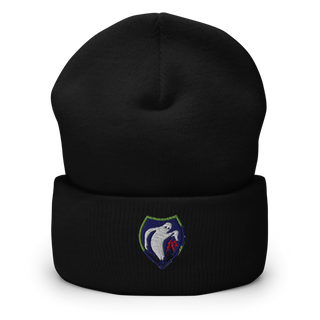 340th Psyop Co. 52894625 Cuffed Beanie | Yupoong 1501KC
