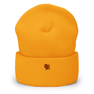 Lions Defense 6766522 Cuffed Beanie | Yupoong 1501KC