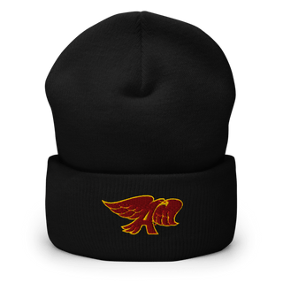 Ankeny High School Dance Team 22157319 Cuffed Beanie | Yupoong 1501KC