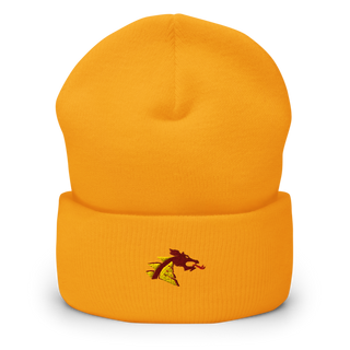 Belle Plaine High School 53594491 Cuffed Beanie | Yupoong 1501KC