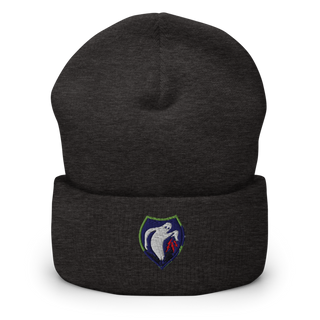 340th Psyop Co. 52894625 Cuffed Beanie | Yupoong 1501KC