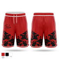 SL Hoops Athletic Shorts With Pockets - 1