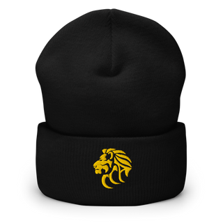 Wichita Lions 53633609 Cuffed Beanie | Yupoong 1501KC