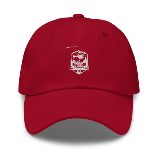 D CO, 3/140th AVN Classic Dad Hat | Yupoong 6245CM
