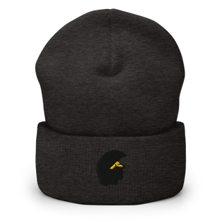 Williamsville north Cuffed Beanie | Yupoong 1501KC