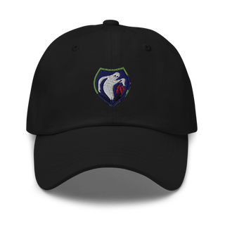 340th Psyop Co. 52894625 Classic Dad Hat | Yupoong 6245CM
