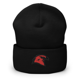 BHS Hawks Dance Team 44132448 Cuffed Beanie | Yupoong 1501KC