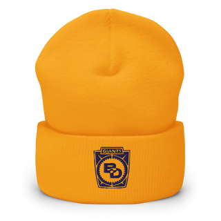 Ben Davis High School Basketball Cuffed Beanie | Yupoong 1501KC