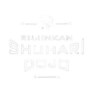 Shuhari Dojo 92861382 Stainless Steel Water Bottle with a Straw Lid