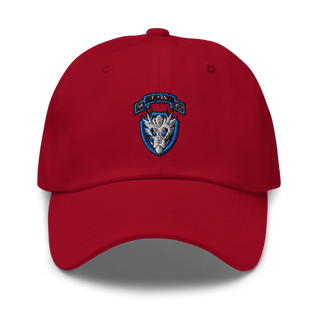 95th cbrn 3rd plt Classic Dad Hat | Yupoong 6245CM