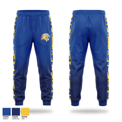 Lions Sweatpants - 1