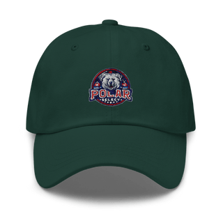 Polar Select Classic Dad Hat | Yupoong 6245CM