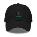 North Huskies Dad hat
