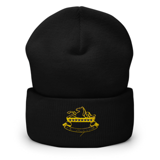6-8 CAV 64955862 Cuffed Beanie | Yupoong 1501KC