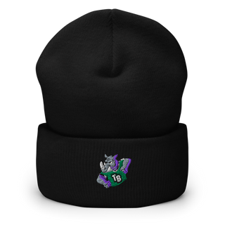 Twelve Bridges 6037581 Cuffed Beanie | Yupoong 1501KC