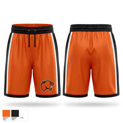 Panthers Mens Basketball Shorts - 1