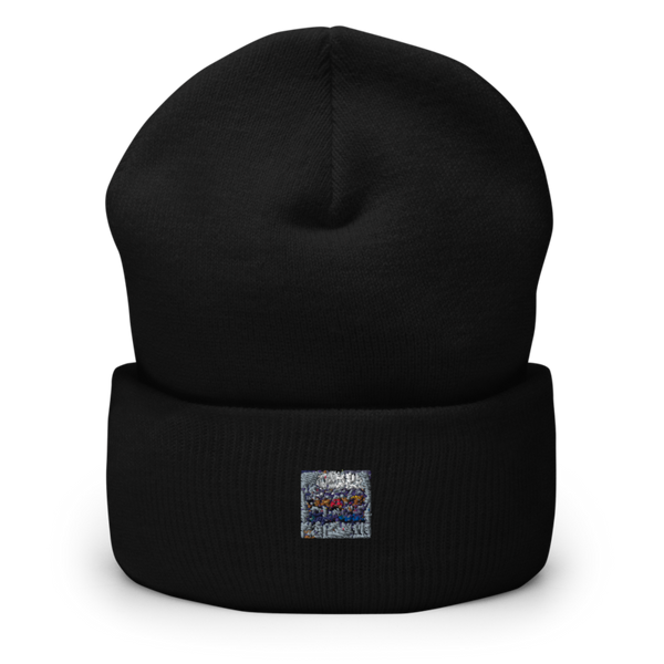 TRAYZ PLACE 92248171 Cuffed Beanie | Yupoong 1501KC