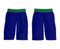 Southampton Academy Basketball 66190653 Mens Soccer Shorts - 31