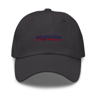 Indy Radio Platoon 10234991 Classic Dad Hat | Yupoong 6245CM